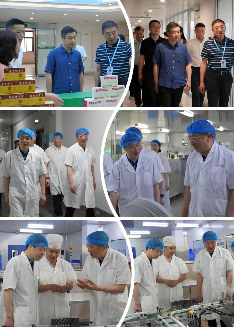 湖南省发改委社会生利益邱翎处长一行来司调研走访_龙八国际